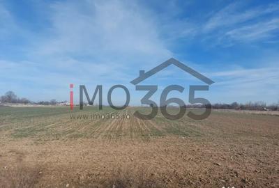 Teren de 550 mp, în Pârvu Roșu - 3