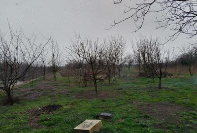 Casă cu 5 camere în Racovița - 3