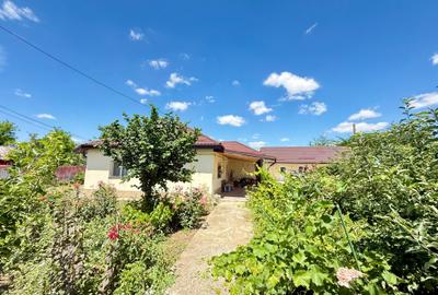 Casă individuală cu 3 camere cu Teren 1142 Mp în Dragoș Vodă - 17