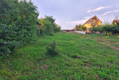 Teren intravilan de 941 mp, în Cisnădioara - 4