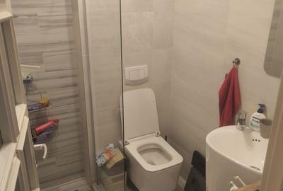Apartament cu 3 camere nedecomandat în Valea Lupului - 6