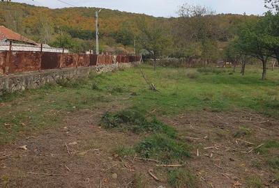 Casă cu Teren 3600 Mp în Balotești - 2