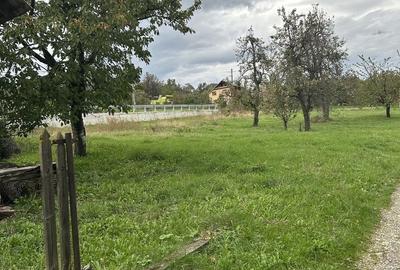 Spațiu comercial, în Filioara
