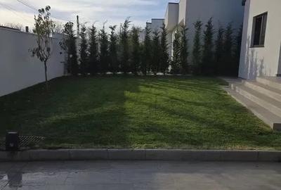 Casă cu Teren 310 Mp în Central - 6