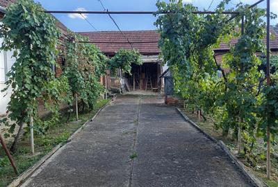 Casă individuală cu 7 camere cu Teren 842 Mp în Naidăș - 17