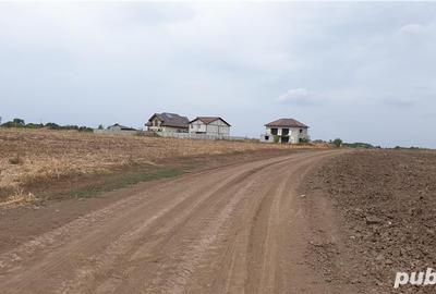 Teren de 385 mp, în Frumușani - 3