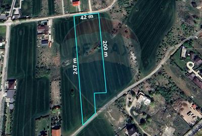 Teren intravilan de 9195 mp, în Vlădiceasca - 2