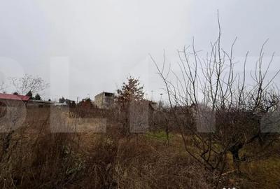 Casă cu 1 camere cu Teren 4246 Mp în Central - 7