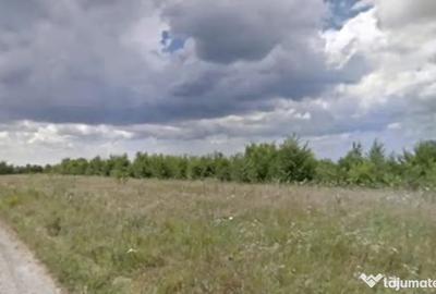 Teren de 5000 mp, în Măgurele
