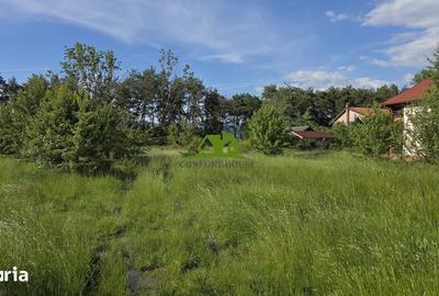 Teren de 1380 mp, în Goranu - 16