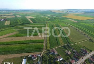 Teren de 10055 mp, în Șura Mică