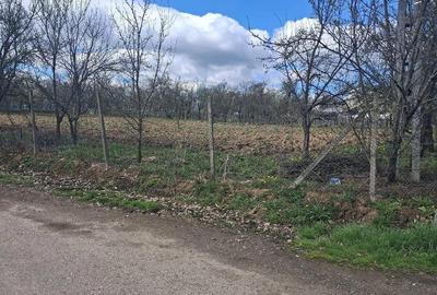 Teren de 2800 mp, în Horodnic - 5
