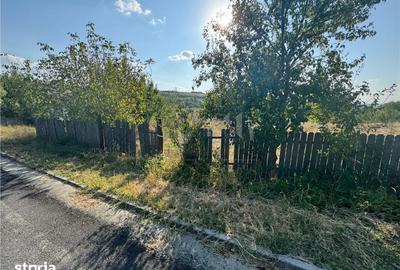 Teren de 4777 mp, în Bârnova - 3