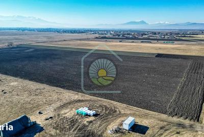Teren de 17250 mp, în Stupini