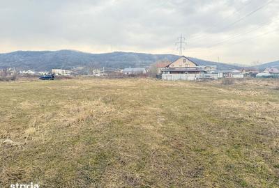 Teren de 3000 mp, în Aninoasa - 7