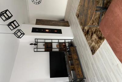Apartament cu 2 camere semidecomandat în Parcul Carol - 4