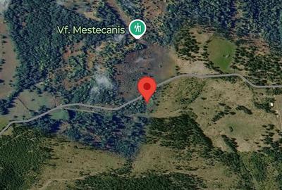 Teren de 2000 mp, în Pojorâta - 5