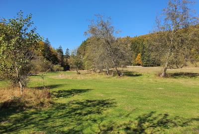 Teren agricol extravilan de 9000 mp, în Babarunca - 6