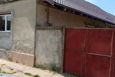 Casă cu 3 camere cu Teren 1440 Mp în Zăbrani - 5