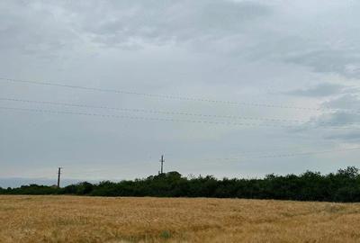 Teren de 4650 mp, în Petroman - 2