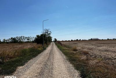 Teren de 12500 mp, în Periș - 2