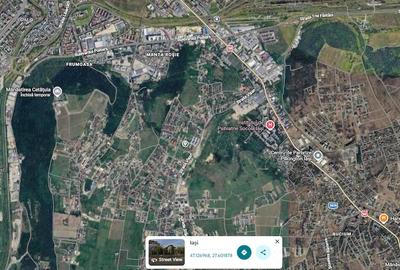 Teren de 3000 mp, în Bucium