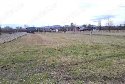Teren de 1300 mp, în Ocna Șugatag - 2