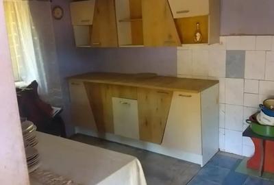 Casă cu 3 camere cu Teren 2000 Mp în Brănișca - 4