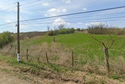 Teren de 5500 mp, în Cavadinești - 2