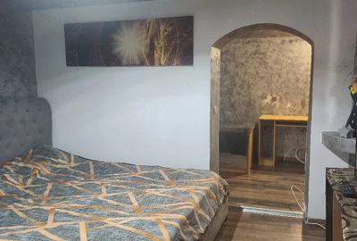 Casă cu 2 camere cu Teren 60 Mp în Lumina - 3