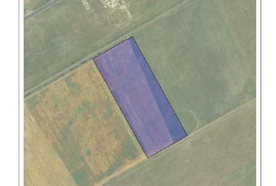 Teren de 75000 mp, în Central