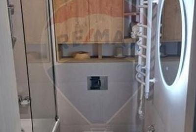 Apartament cu 2 camere decomandat în P-ta Presei Libere - 12