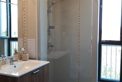 Apartament cu 2 camere decomandat în Borhanci - 5