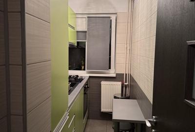 Apartament cu 2 camere în Banat - 1