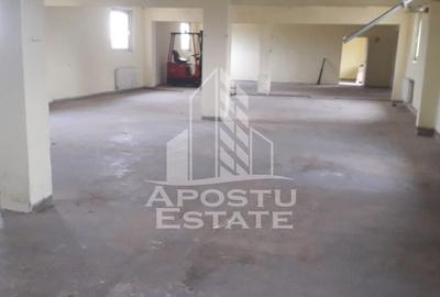 Spațiu comercial, de 700 mp, în Moșnița Nouă - 1