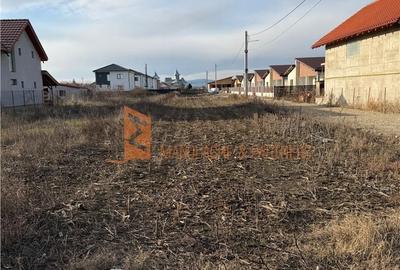 Teren de 800 mp, în Mărăcineni