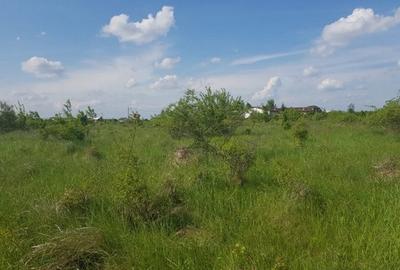 Teren Construcții intravilan de 3000 mp, în Ciolpani - 3