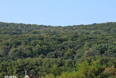 Teren de 764 mp, în Hemeiuș - 1