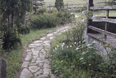 Casă cu 3 camere în Piatra - 10
