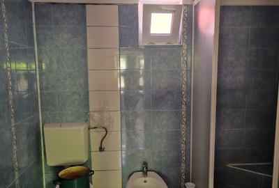 Casă individuală cu 4 camere cu Teren 476 Mp în Vlădeni - 10