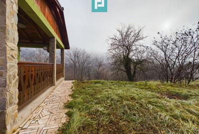 Casă individuală cu 6 camere cu Teren 1810 Mp în Moneasa - 19
