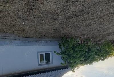 Casă cu 3 camere cu Teren 2069 Mp în Dor Mărunt - 6