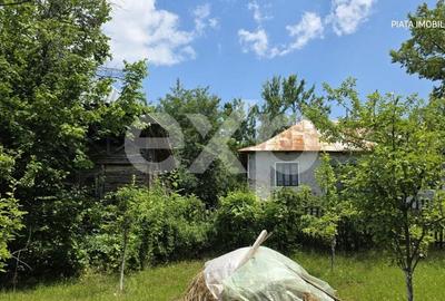 Casă cu 5 camere cu Teren 4489 Mp în Râu Alb - 4