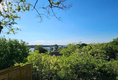 Casă cu 3 camere în Topalu - 8