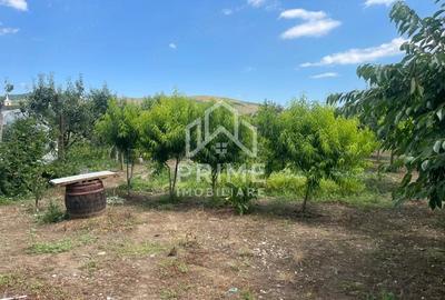 Casă cu 3 camere cu Teren 1600 Mp în Central