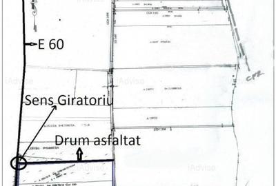 Teren Construcții intravilan de 165000 mp, în Feldioara - 2