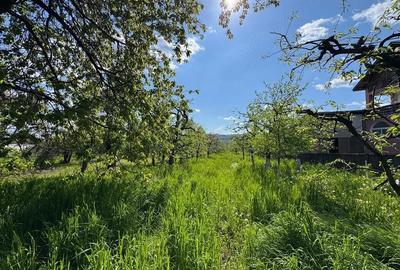 Teren de 2300 mp, în Izvoarele - 4