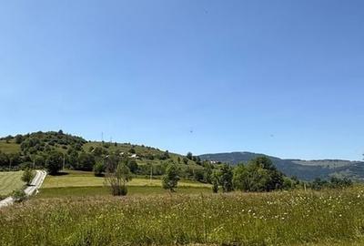 Teren de 1820 mp, în Săcuieu - 7