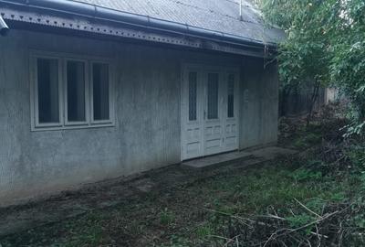 Casă cu 2 camere în Humulești