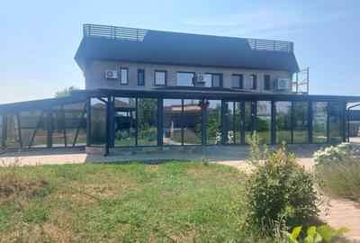 Spațiu industrial, de 2,000 mp, în Ciolpani - 13